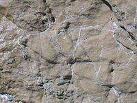 Rock Texture