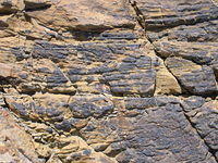 Rock Texture