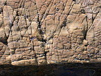 Rock Texture