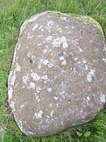 Rock