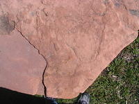 stone_red_002