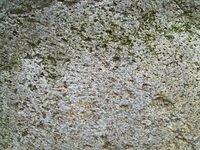 stone_rock_texture_TT7010077.JPG