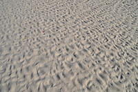 TT_1408.JPG