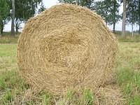 Hay bale