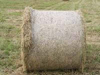 Hay bale