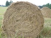 Hay bale