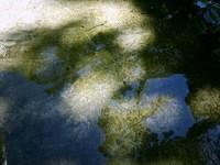 shadows and drops on water