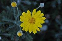TT_DSC_6992