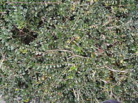 P1170599