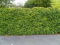 TT7001573.JPG
