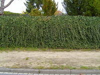 TT7040147.JPG