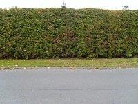 TT7040155.JPG