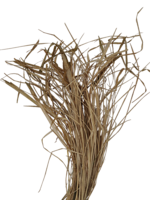 grass2