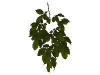 TT7010155.GIF