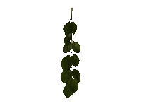 TT7010156.GIF