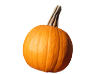 Rendered pumpkin