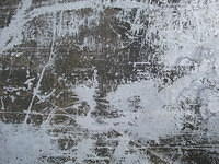 DSCF0613.JPG