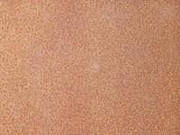 Rusty texture