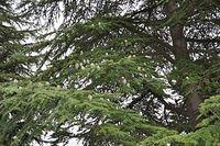 TT_DSC_6386