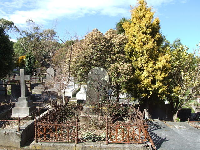 Unkempt Grave, Karori Cemetery, Wellington, New Zealand
