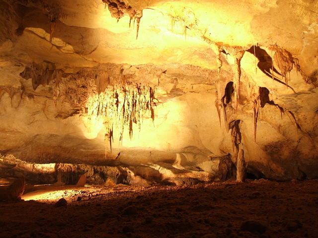 Limestone Formations in Cave (Naracoorte, South Australia)