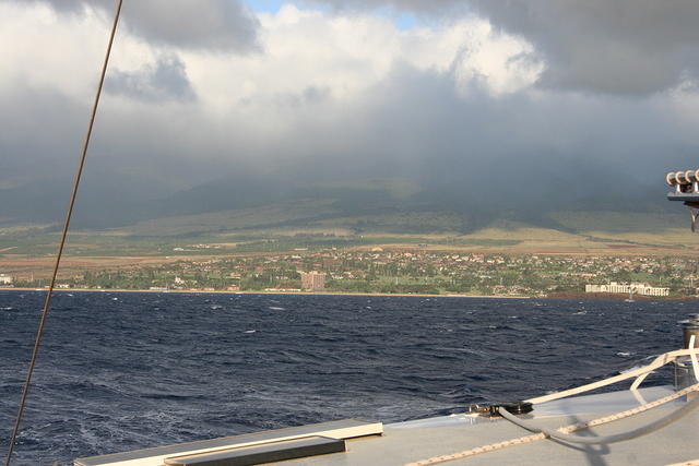 Ocean Hawaii fml (4)