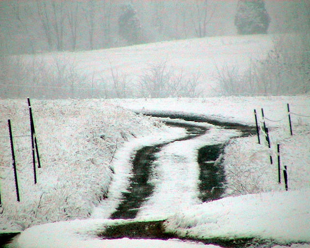 Snow Covered Country Lane