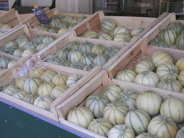 french_melons