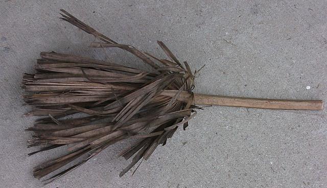 dead_palm_leaf_4.jpg
