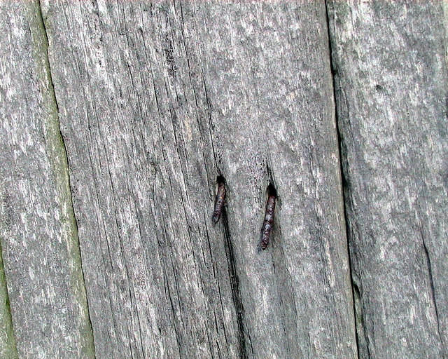 old wood with nails