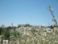 View-from-Ha-Emek-Jerusalem-6-18-08-2