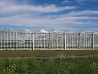 A9091 greenhouses blue sky clouds