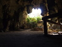 Cave Entrance (Naracoorte, South Australia)