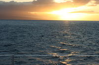 Ocean Hawaii fml (11)