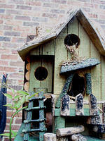 bird house nest