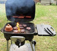 BBQ_Burgers_And_Hot_dogs_plus_Onoin01
