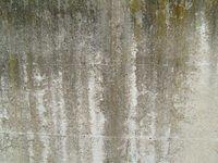 Walls ( Concrete Plaster )
