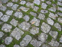 Grass and cobbles