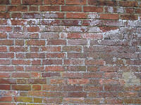 pd-texture-red-stone-wall-1.jpg